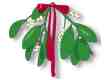 Mistletoe