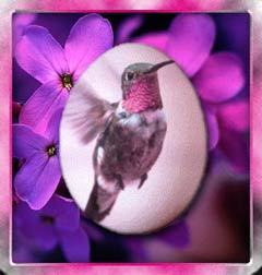 Hummingbird Easter Egg Greets Spring